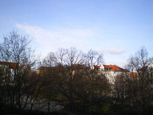 Aussicht auf die Bäume des Wiedebachplatzes.jpg