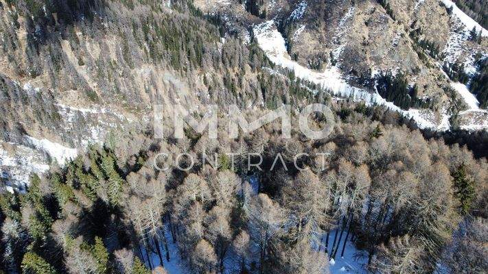 Waldparzellen Kals am Großglockner