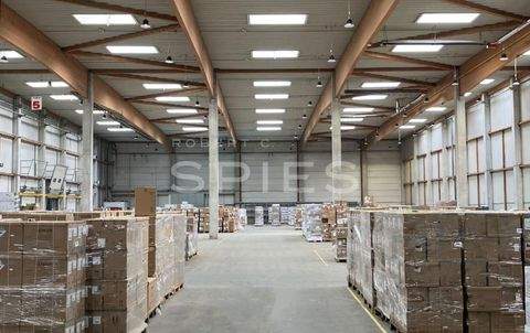 Bremen Halle, Bremen Hallenfläche