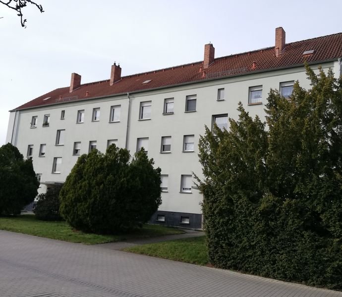4 Zimmer Wohnung in Sedlitz