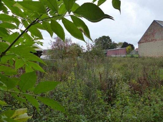 Grundstück - Garten 