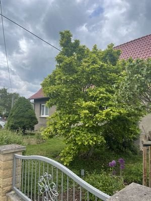 Seitenblick
