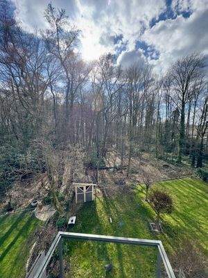 Ausblick in den Wald