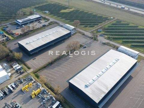 Neuenhagen Halle, Neuenhagen Hallenfläche