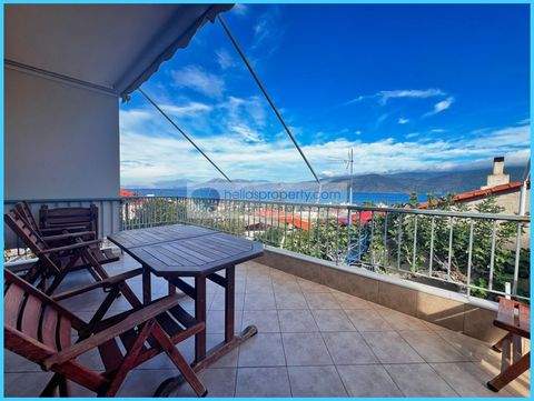 Vilia Häuser, Vilia Haus kaufen