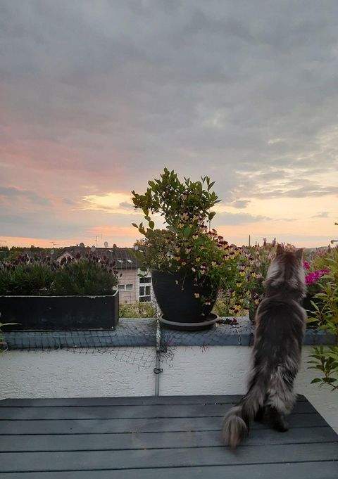 Bergisch Gladbach Wohnungen, Bergisch Gladbach Wohnung kaufen