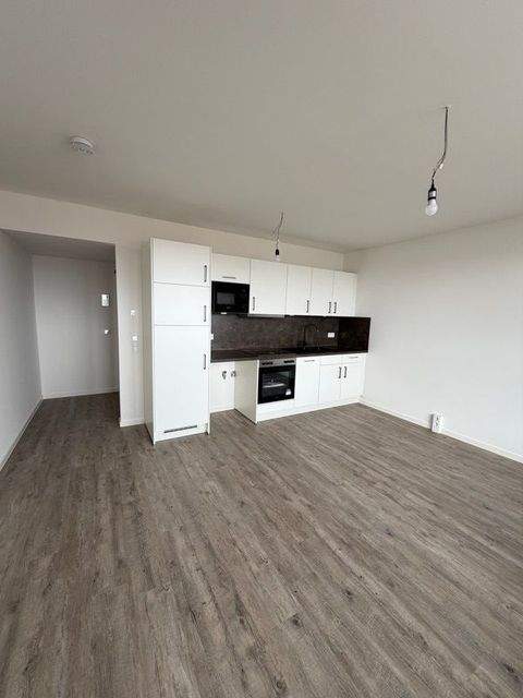 Dresden Wohnungen, Dresden Wohnung mieten