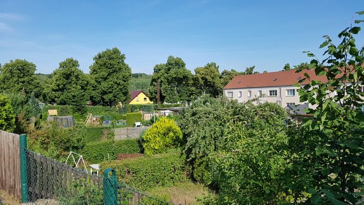 Gartenansicht 