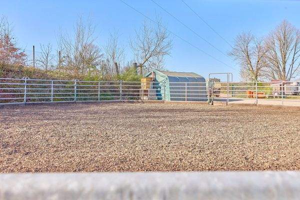 08 Longierzirkel.jpg