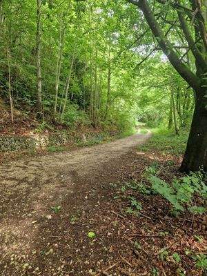 Umgebung direkt vor der Haustüre