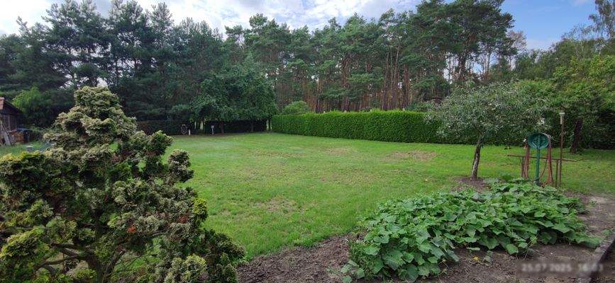 Grundstück von vorne