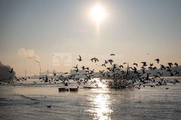 Niederkassel Mondorf