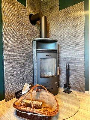 Wohnzimmer Kaminofen