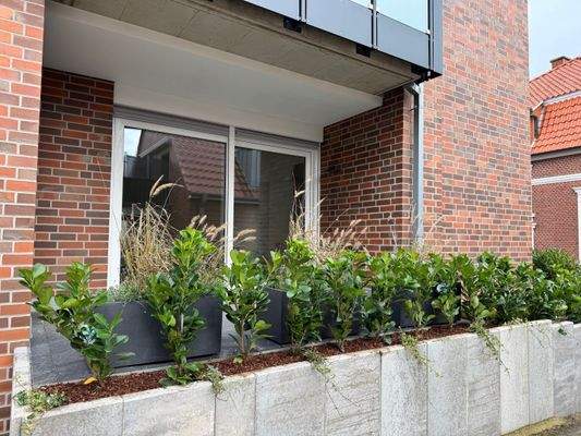 Blick auf die Terrasse