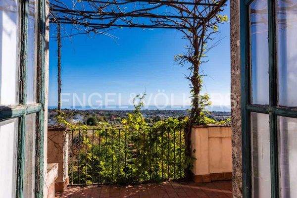 Blick auf den Weinberg