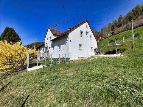 Stühlingen Häuser, Stühlingen Haus kaufen