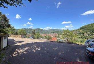 IMG_7210-www-50 Kopie.jpg