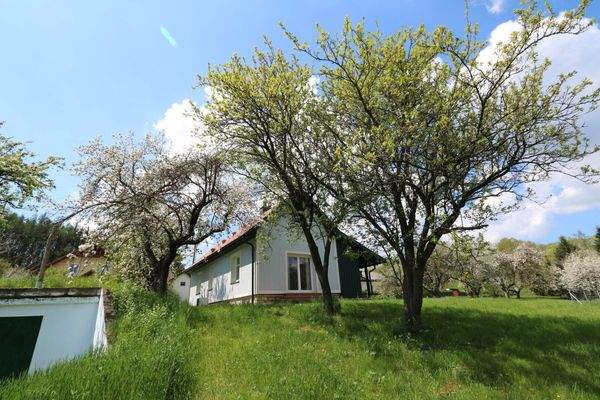 Südansicht des Hauses/Obstgarten