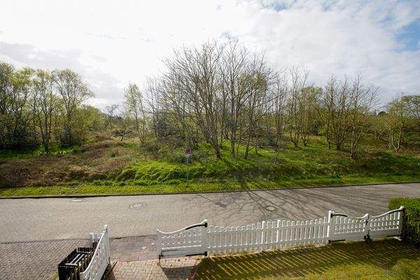 Blick ins Naturschutzgebiet