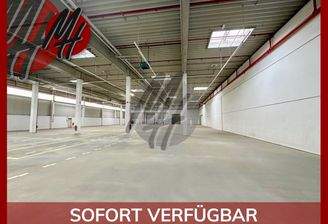 INFOS UNTER: 06171-586000