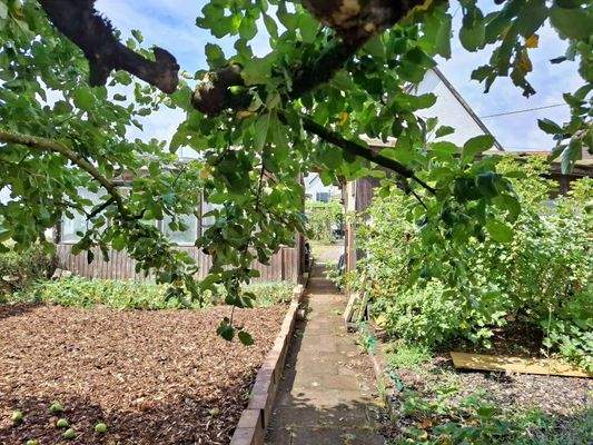 Der Sitzplatz unterm Apfelbaum