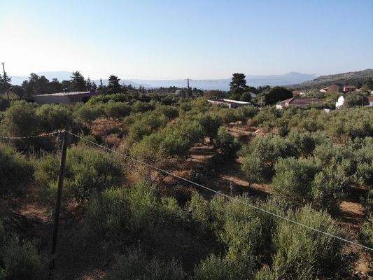 Kreta, Xirosterni: Grundstück in ruhiger Lage mit Berg- und Meerblick zu verkaufen