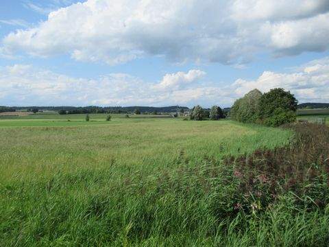 Horgau Bauernhöfe, Landwirtschaft, Horgau Forstwirtschaft