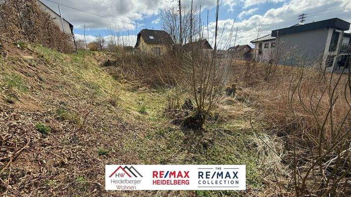 WhatsApp Image 2025-03-31 at 14.22.37 (2)