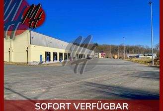 INFOS UNTER: 06171-586000