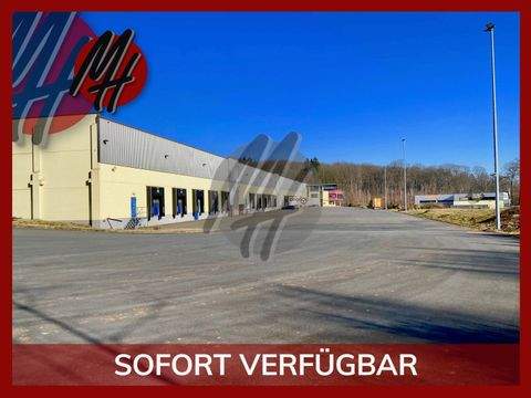 Höhr-Grenzhausen Halle, Höhr-Grenzhausen Hallenfläche