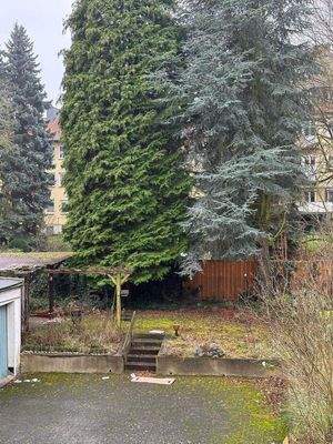 Gemeinschaftsfläche