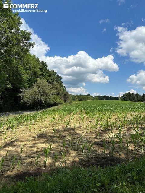 Jennersdorf Grundstücke, Jennersdorf Grundstück kaufen