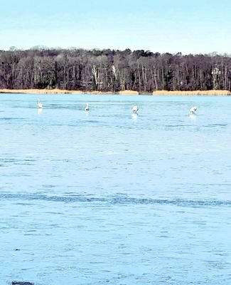 Seddiner See im Winter