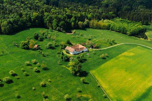 Gesamtansicht Wiesen