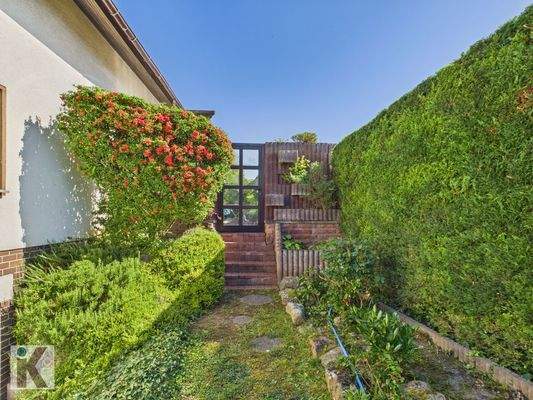 Grünfläche hinten dem Haus