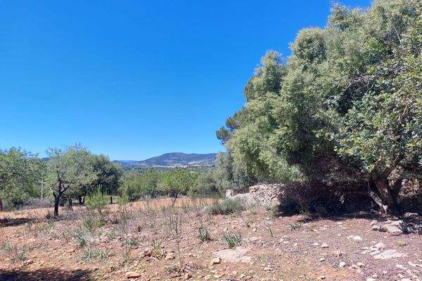 Grundstück mit Bauprojekt