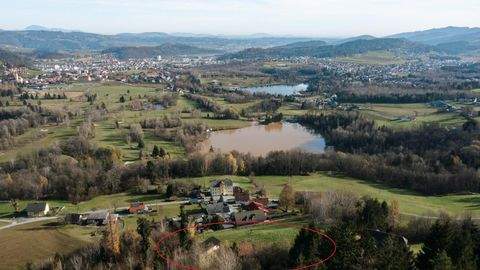 Maria Lankowitz Bauernhöfe, Landwirtschaft, Maria Lankowitz Forstwirtschaft