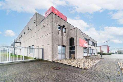 Velen Halle, Velen Hallenfläche