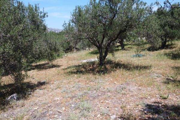 Kreta, Kalathas: Grundstück mit Meerblick in der Nähe des Strandes zu verkaufen