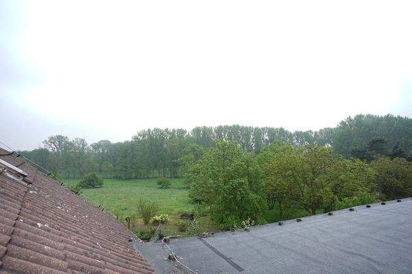 Blick von den Scheunendächern auf den Wald