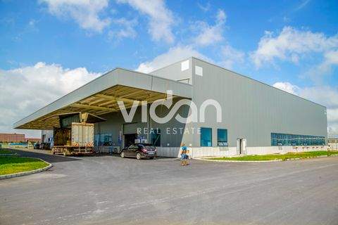 Bergkamen Halle, Bergkamen Hallenfläche