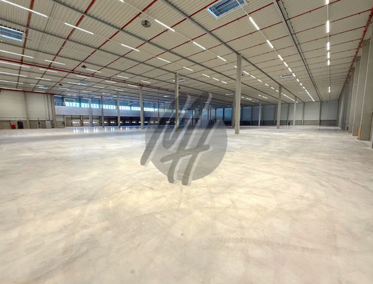 INFOS UNTER: 06171-586000