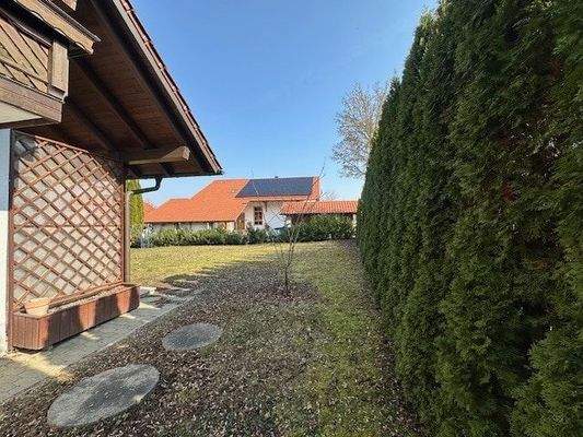 Hecke als Sichtschutz