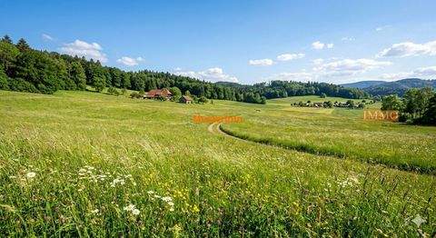 Gottenheim Bauernhöfe, Landwirtschaft, Gottenheim Forstwirtschaft