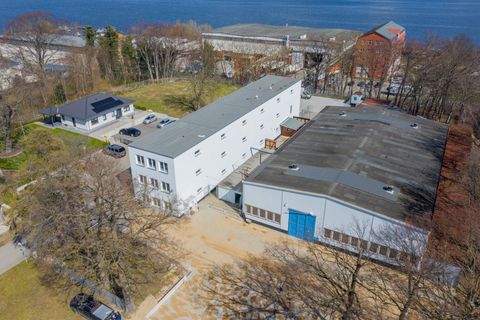 Rostock Halle, Rostock Hallenfläche