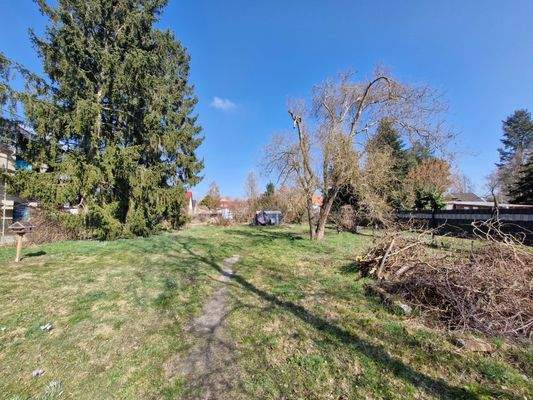 Blick auf den hinteren Grundstücksteil