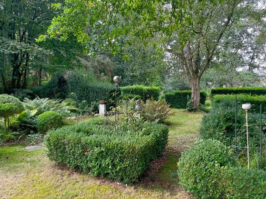 Blick in den Garten