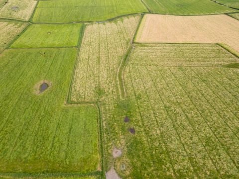 Sankt Peter-Ording Bauernhöfe, Landwirtschaft, Sankt Peter-Ording Forstwirtschaft