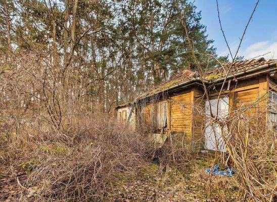 Bestandsbungalow vor Naturschutzgebiet