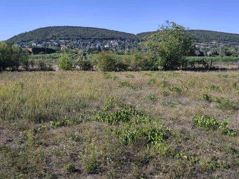 Csopak Grundstücke, Csopak Grundstück kaufen